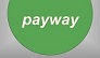   payway55