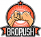   BroPush