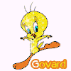 Аватар для Govard
