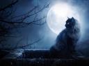 Аватар для Moonlight Cat
